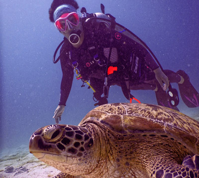 Scuba Trips and Dive Charters