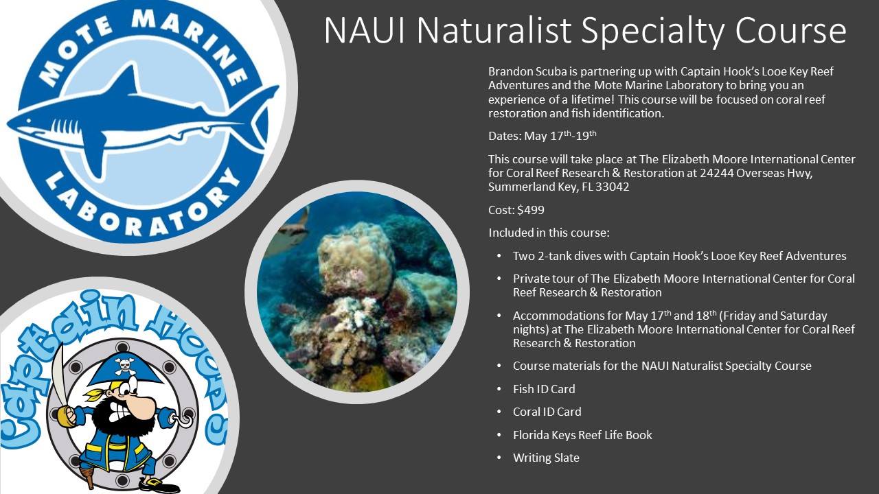 NAUI Naturalist Specialty course